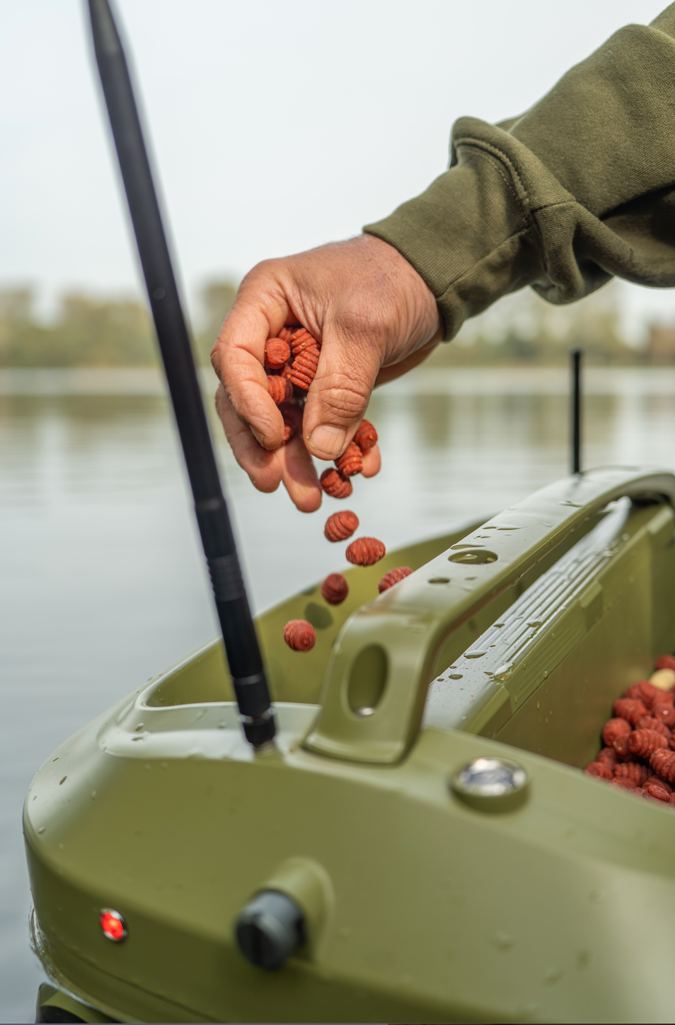 Carp-Shop Grubs
