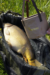 Beetackle PVC bucket