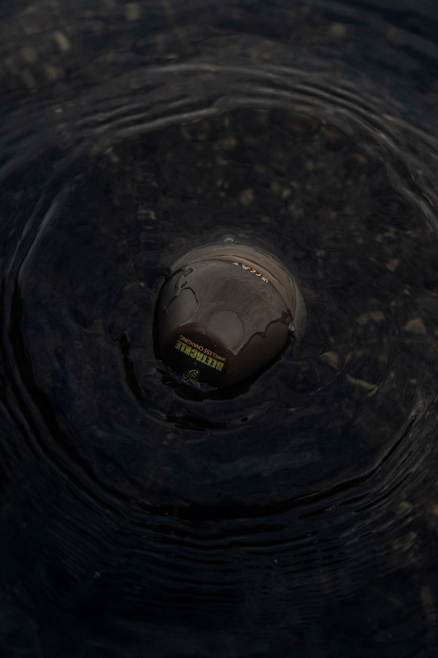 Beetackle Castable Sonar