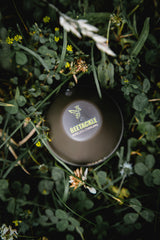 Beetackle Castable Sonar