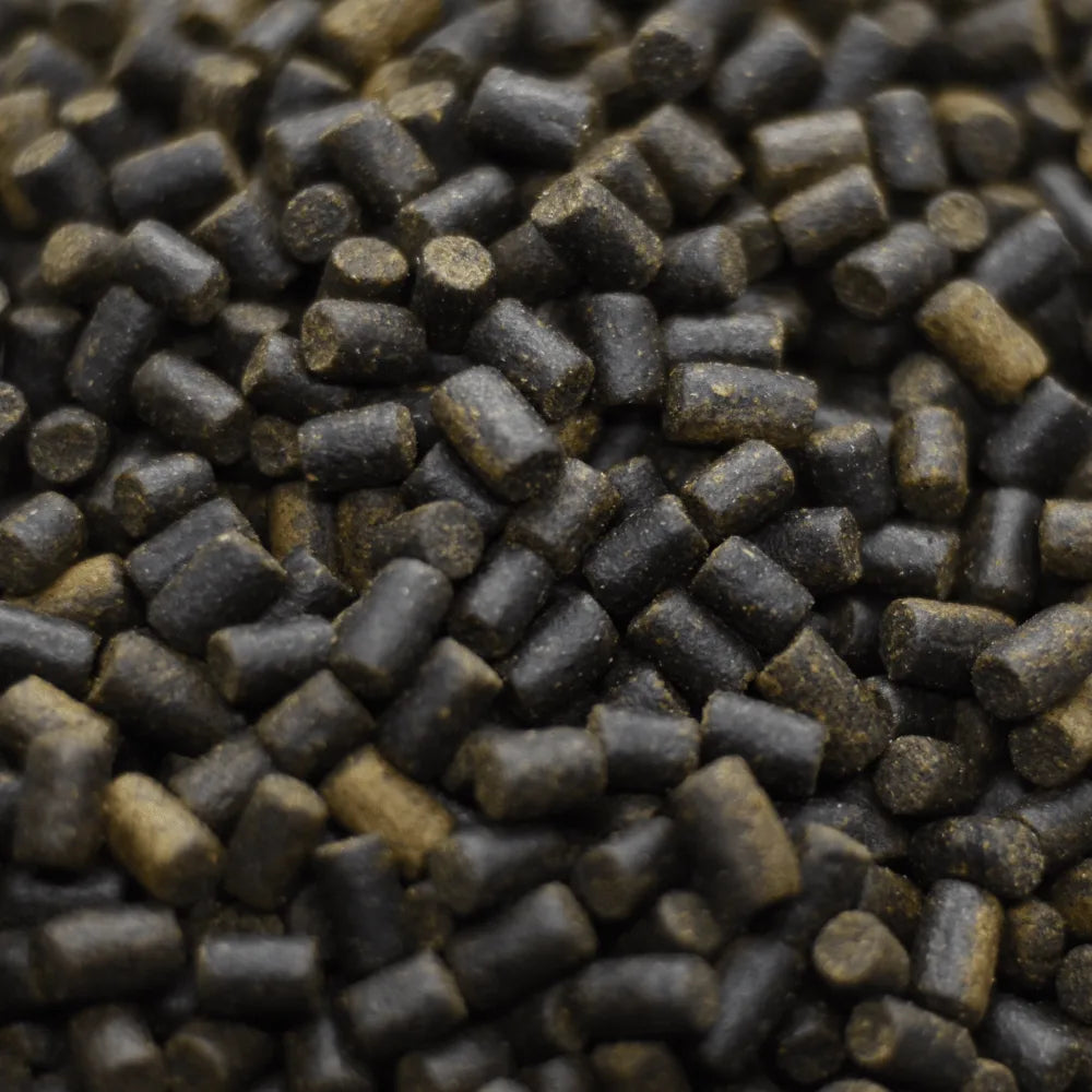 Carp-Shop Intensive Pellets