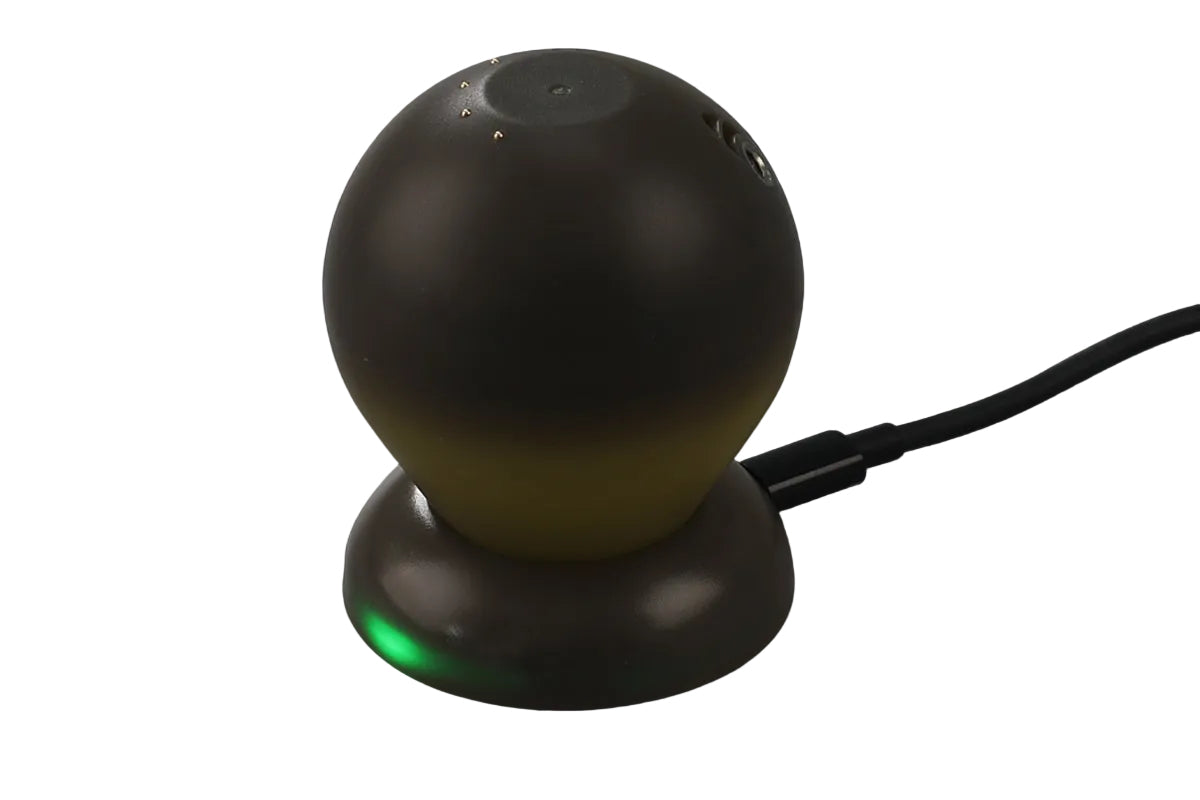Beetackle Castable Sonar