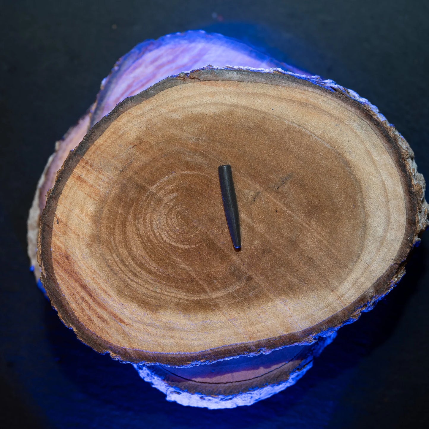 Baitsolutions Tungsten anti-tangle sleeve shorts