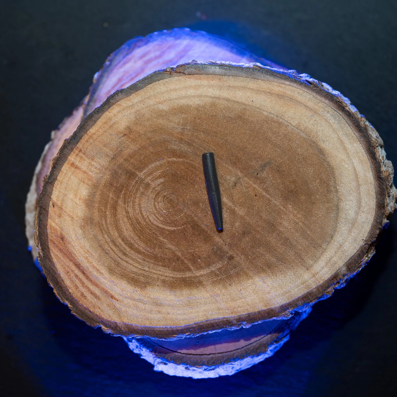 Baitsolutions Tungsten anti-tangle sleeve shorts