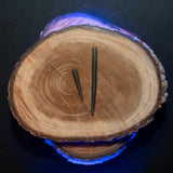 Baitsolutions Anti Tangle Sleeves Long Green