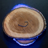 Baitsolutions Anti Eject Hook