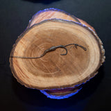 Baitsolutions Line Aligner Weed