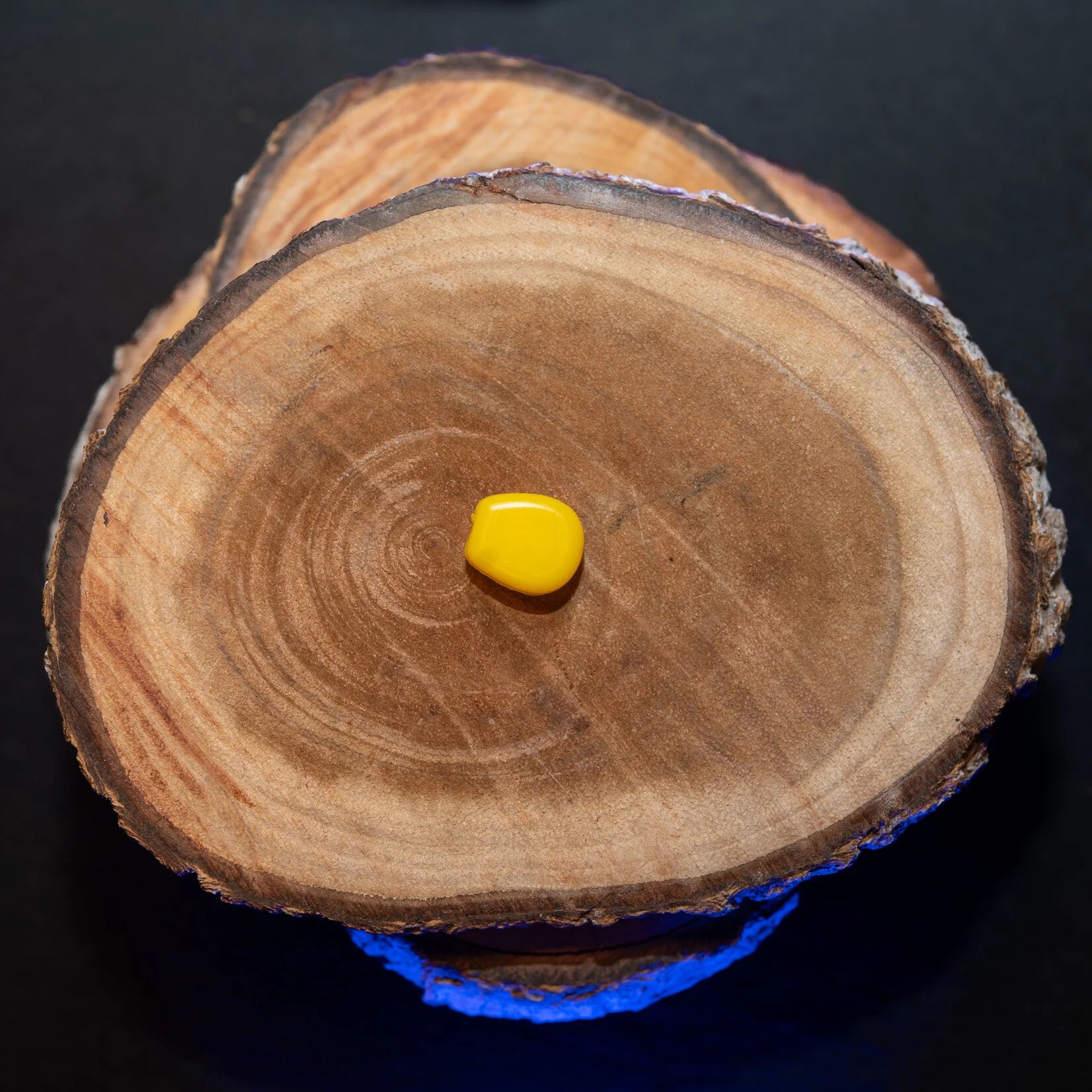 Baitsolutions Fake Corn yellow