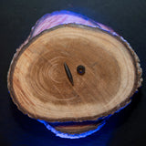 Baitsolutions Heli Beads Weed