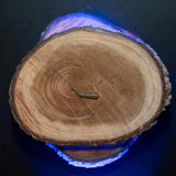 Baitsolutions Line Aligner Green