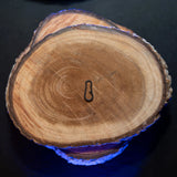 Baitsolutions Multi Clip