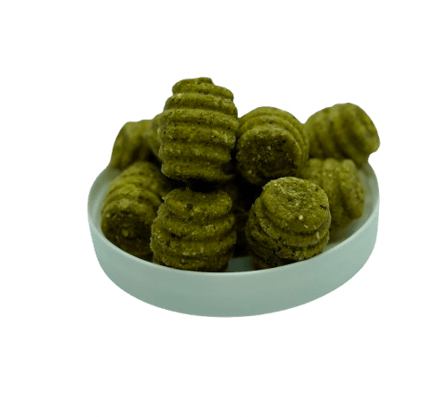 GreenMaggot