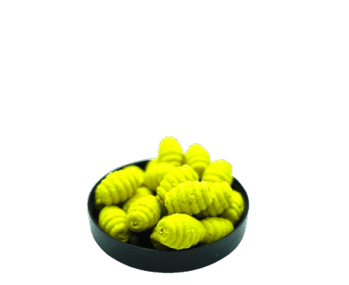 Carp-Shop yellow Fluo Grubs Popups 18 x 13 mm